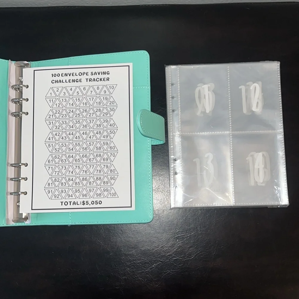 100 Day Envelope Challenge Budget Planner